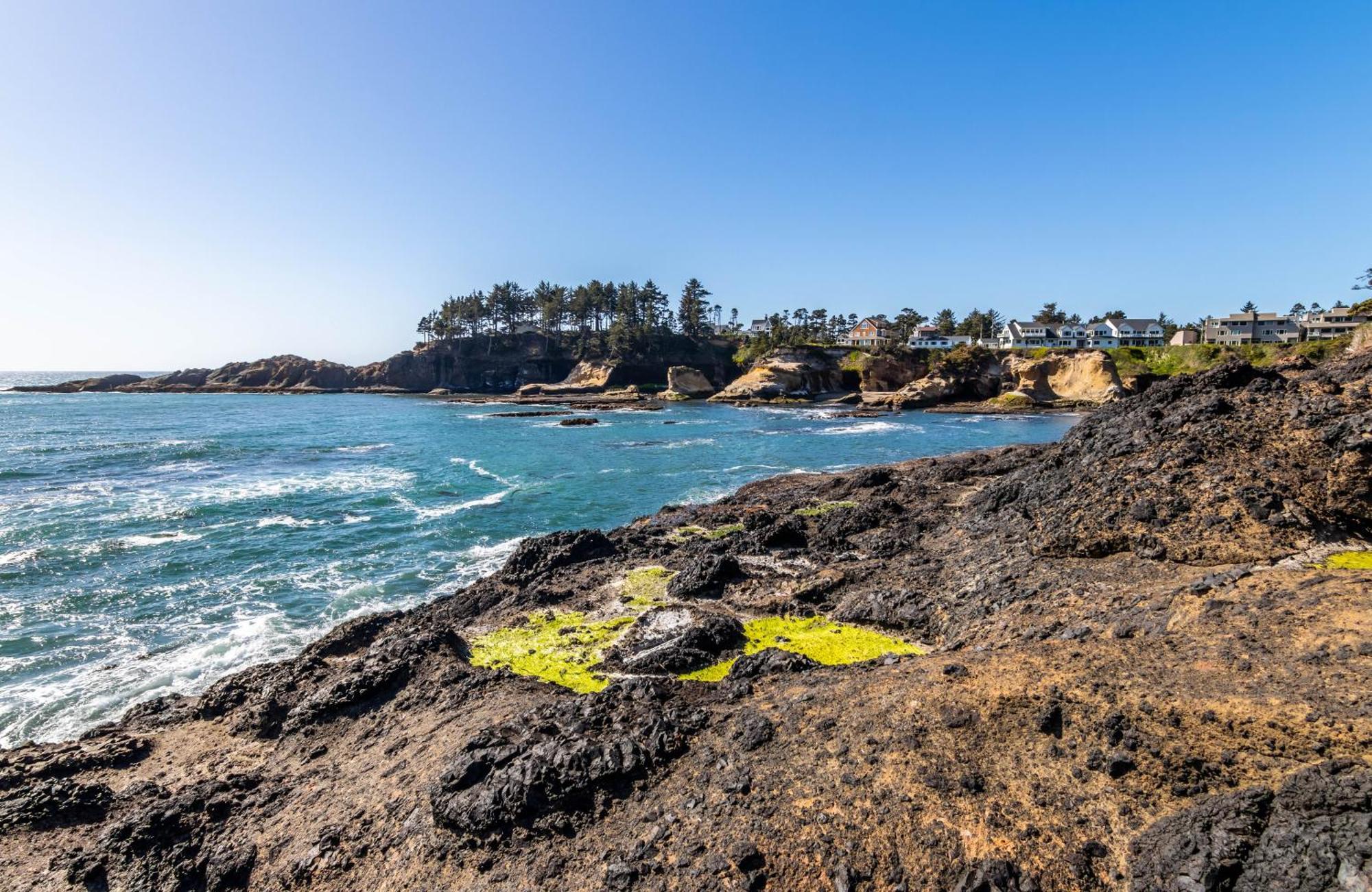 Whale'S Paradise Depoe Bay Exteriér fotografie